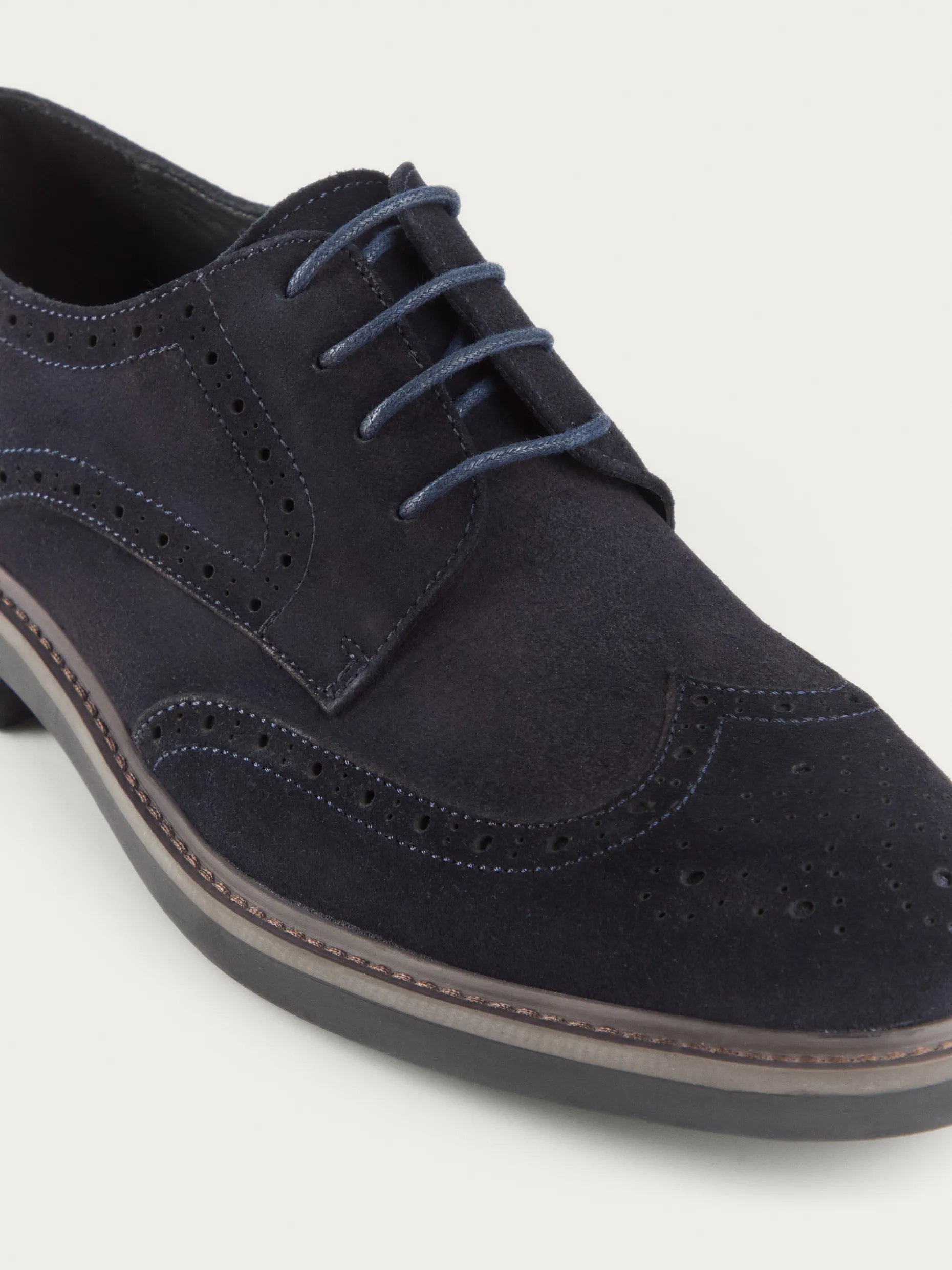 BLUCHER PICADO AZUL MARINO