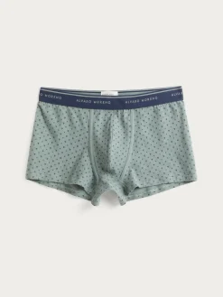 BOXER TRIANGLE VERDE