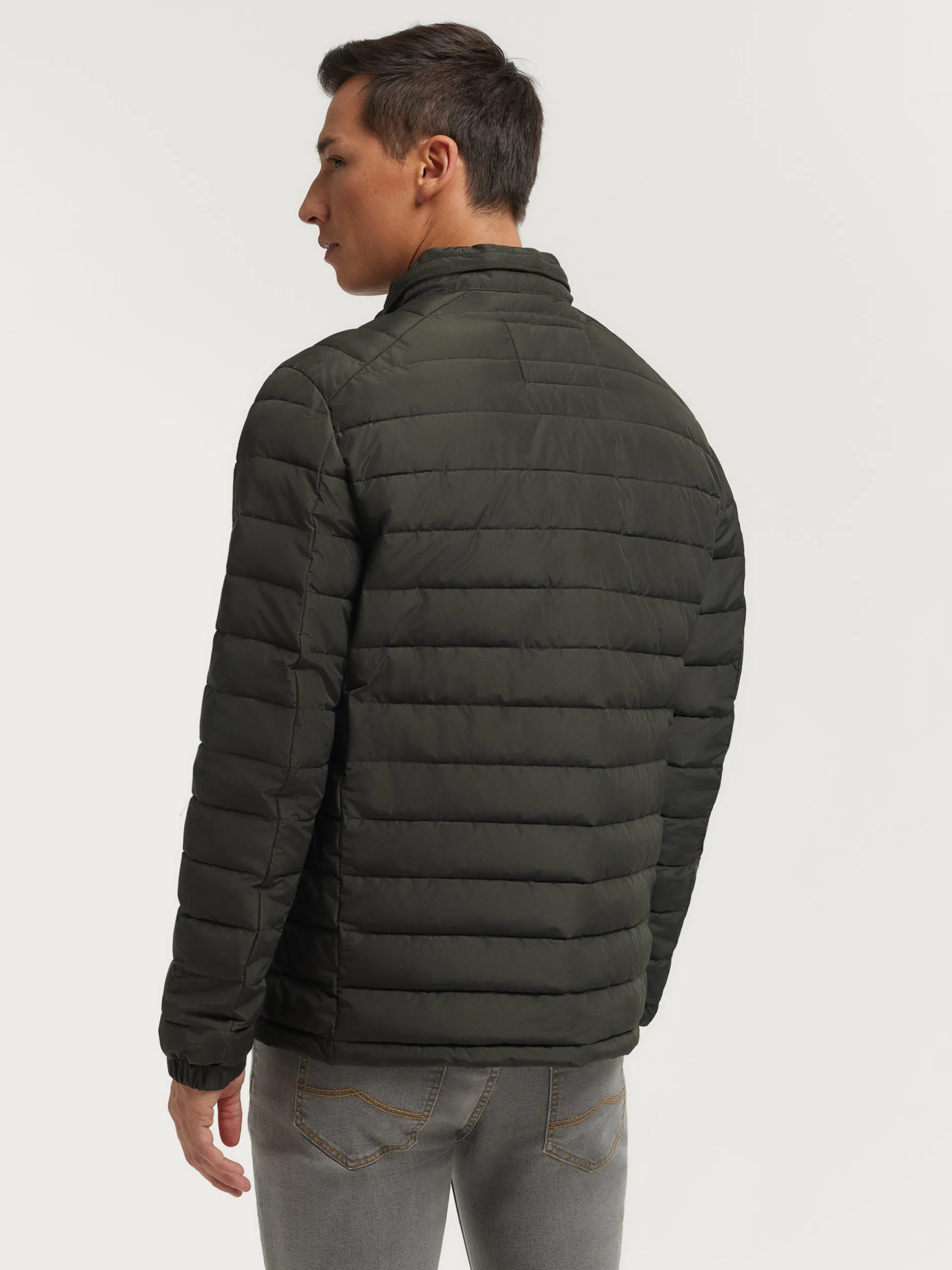 CAZADORA ZEPPELIN VERDE