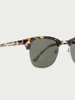 GAFAS MASTER MARRÓN